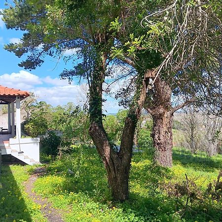 Quintinha A 35Min De Lisboa Villa Mafra Exterior foto
