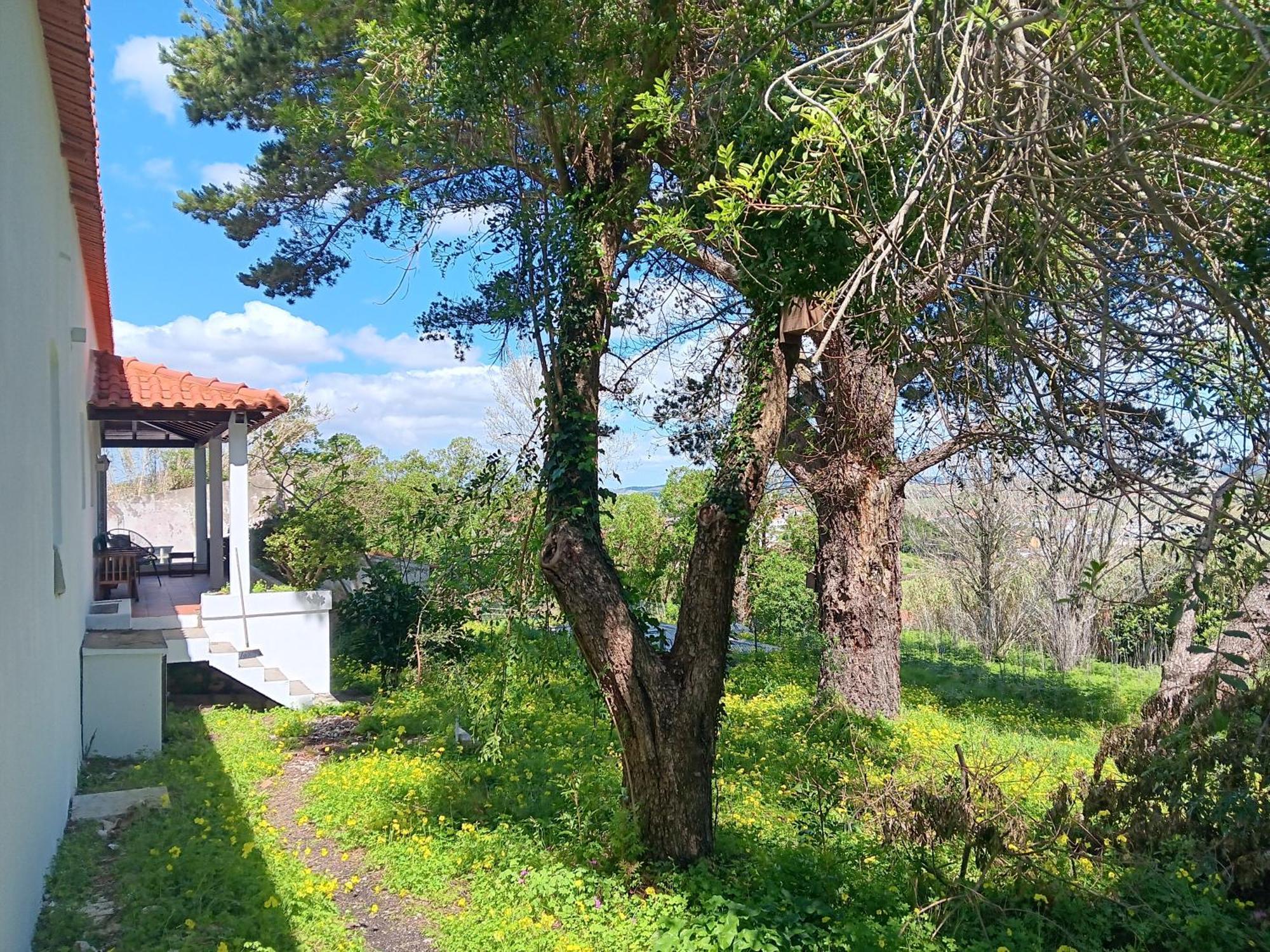 Quintinha A 35Min De Lisboa Villa Mafra Exterior foto